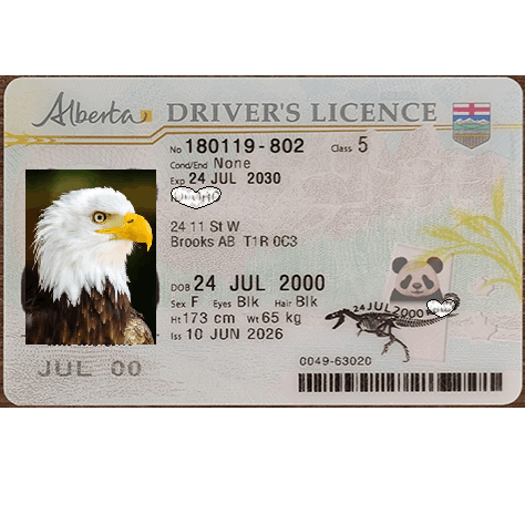 Alberta DL Newest