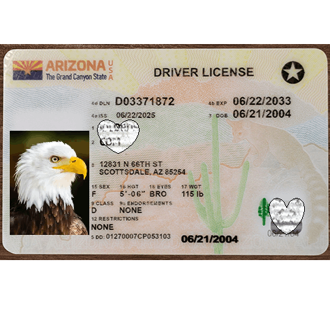 Arizona  DL Newest