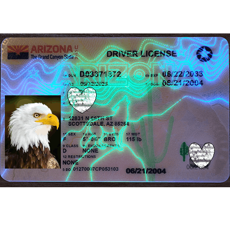Arizona  DL Newest