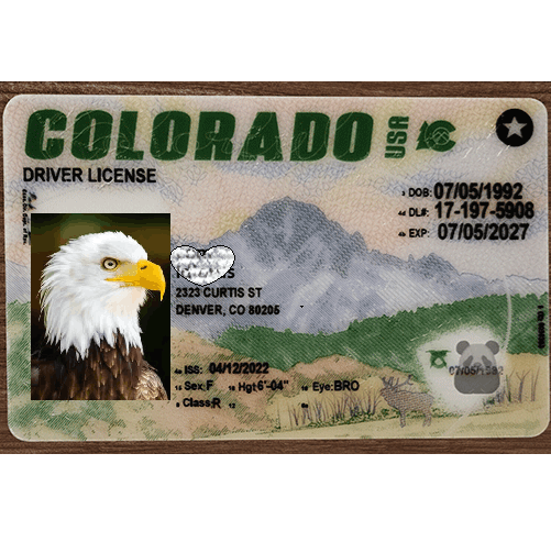 Colorado DL