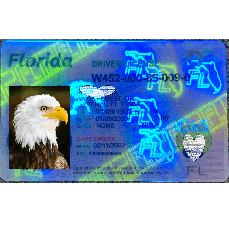 Florida scannable DL