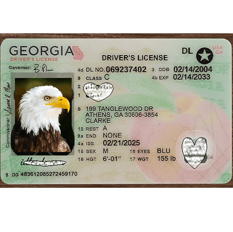 Georgia  DL Newest
