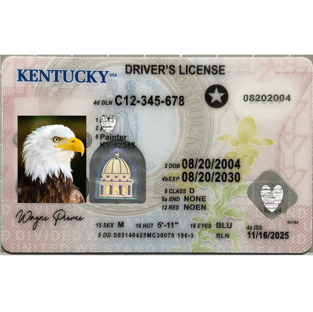 A novelty Kentucky driver's license card shown flat against a white background, featuring printed text, a portrait photo of a bald eagle, and security-style graphics.