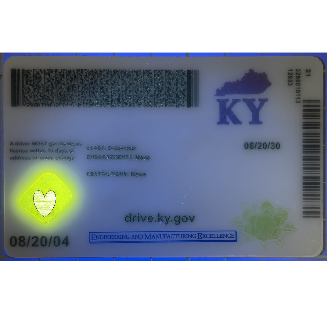 A Kentucky driver's license card shown flat against a white background, with a blue border and printed details including KY, barcode, dates, and drive.ky.