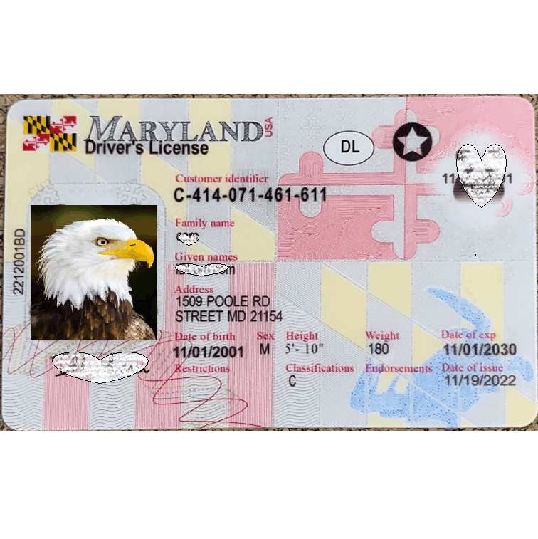 Maryland DL Newest