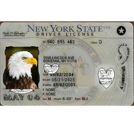 New York DL Newest