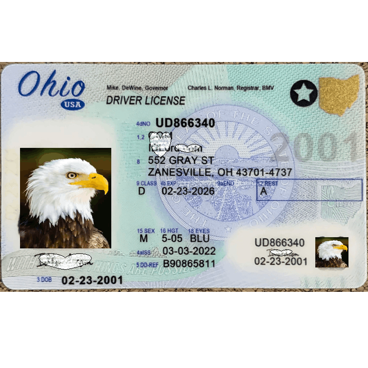 Ohio DL Newest