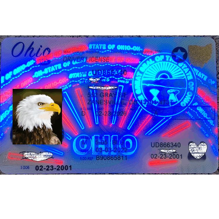 Ohio DL Newest