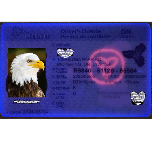 Ontario DL Newest