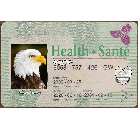 Ontario Health Card