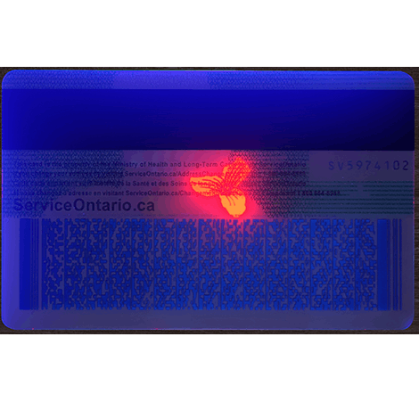 Ontario Health Card