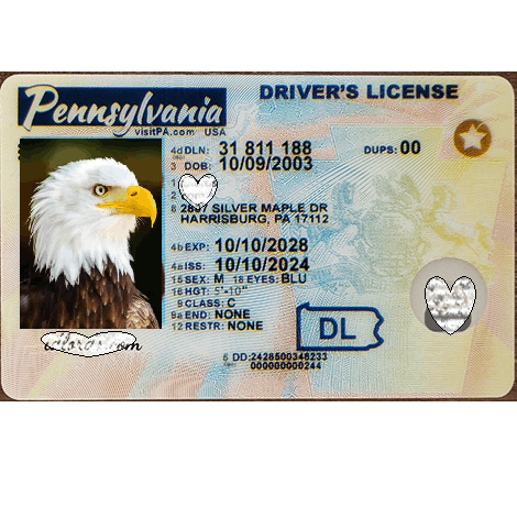 Pennsylvania DL Newest