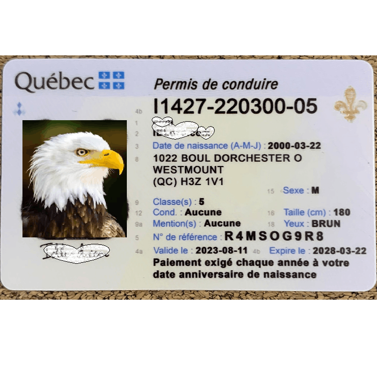 Quebec DL