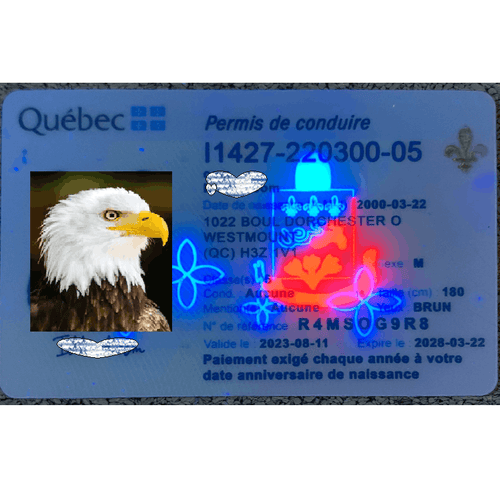 Quebec DL