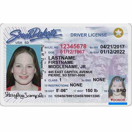 Buy Scannable South Dakota Premium Fake IDs | USA TOP FAKE ID GENERATOR