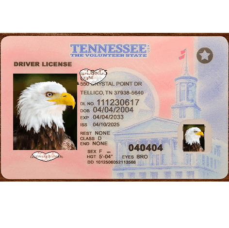 Tennessee DL Newest