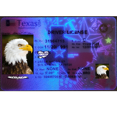 Texas DL Newest