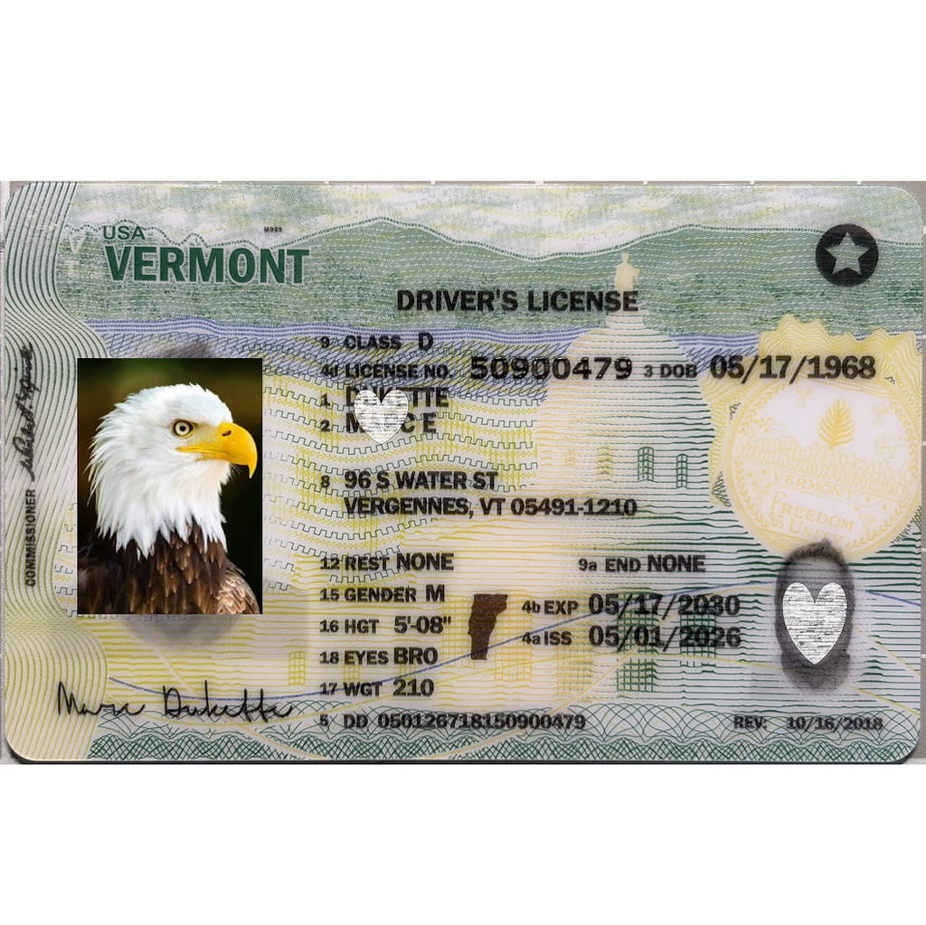 A replica or novelty Vermont driver's license card shown flat against a white background, featuring a bald eagle portrait photo, printed text, and security-style graphics.