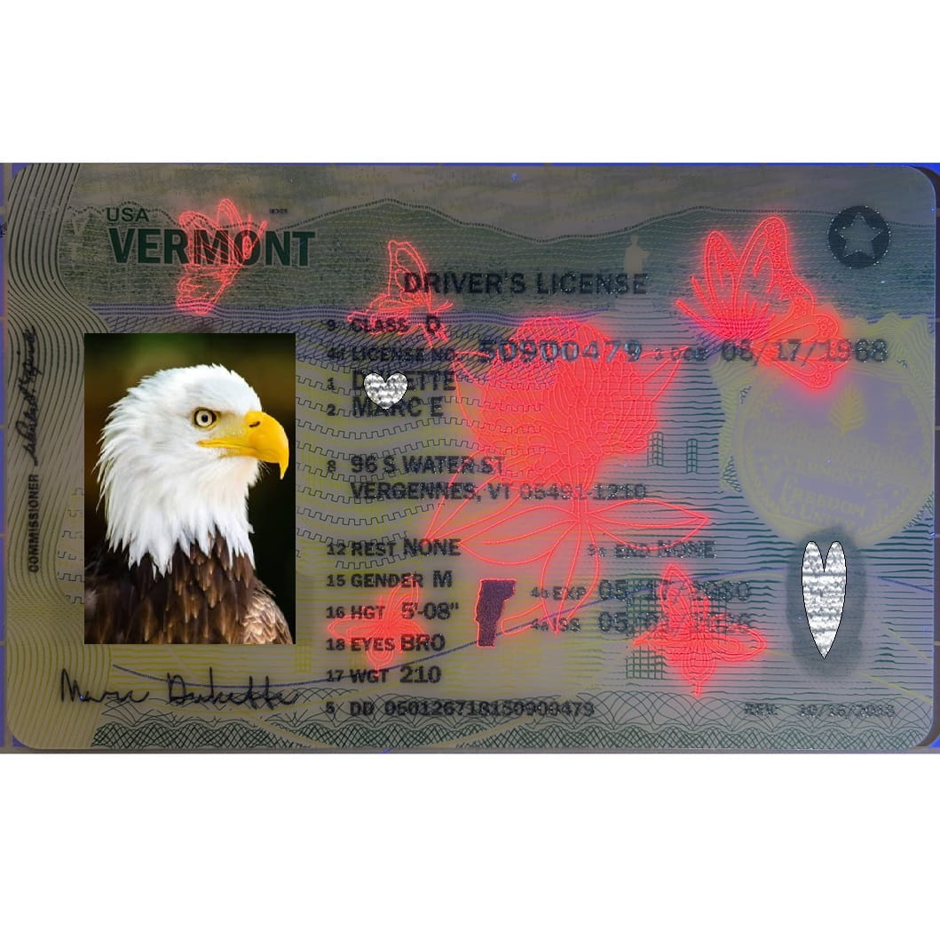 A replica or novelty Vermont driver's license card shown flat against a white background, featuring a bald eagle portrait in the photo box and red scribble overlays obscuring some details.