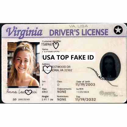 Buy Scannable Virginia Premium Fake IDs | USA TOP FAKE ID GENERATOR