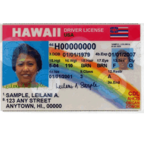 Buy Scannable Hawaii Premium Fake IDs | USA TOP FAKE ID GENERATOR